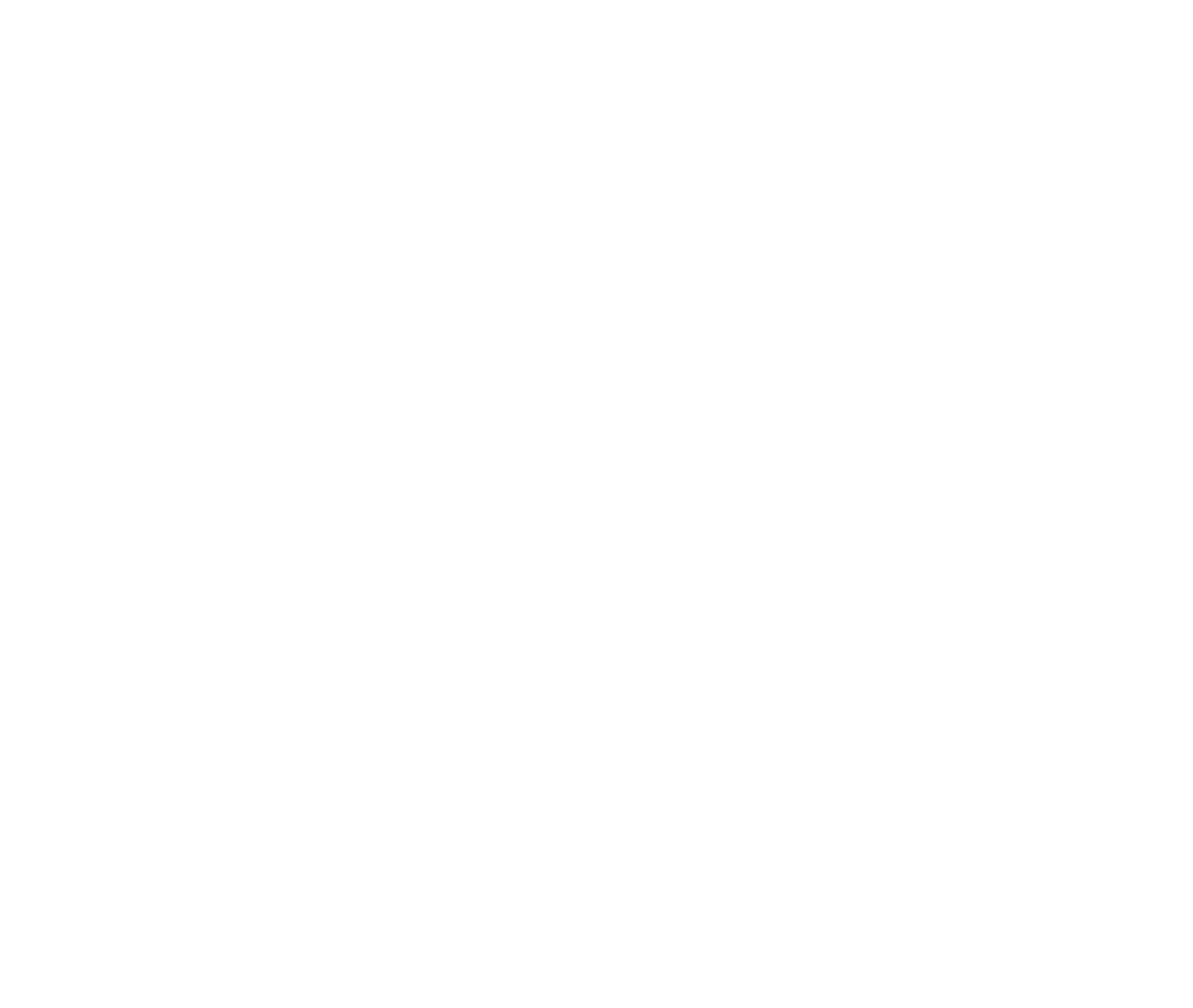 Fiat Pro